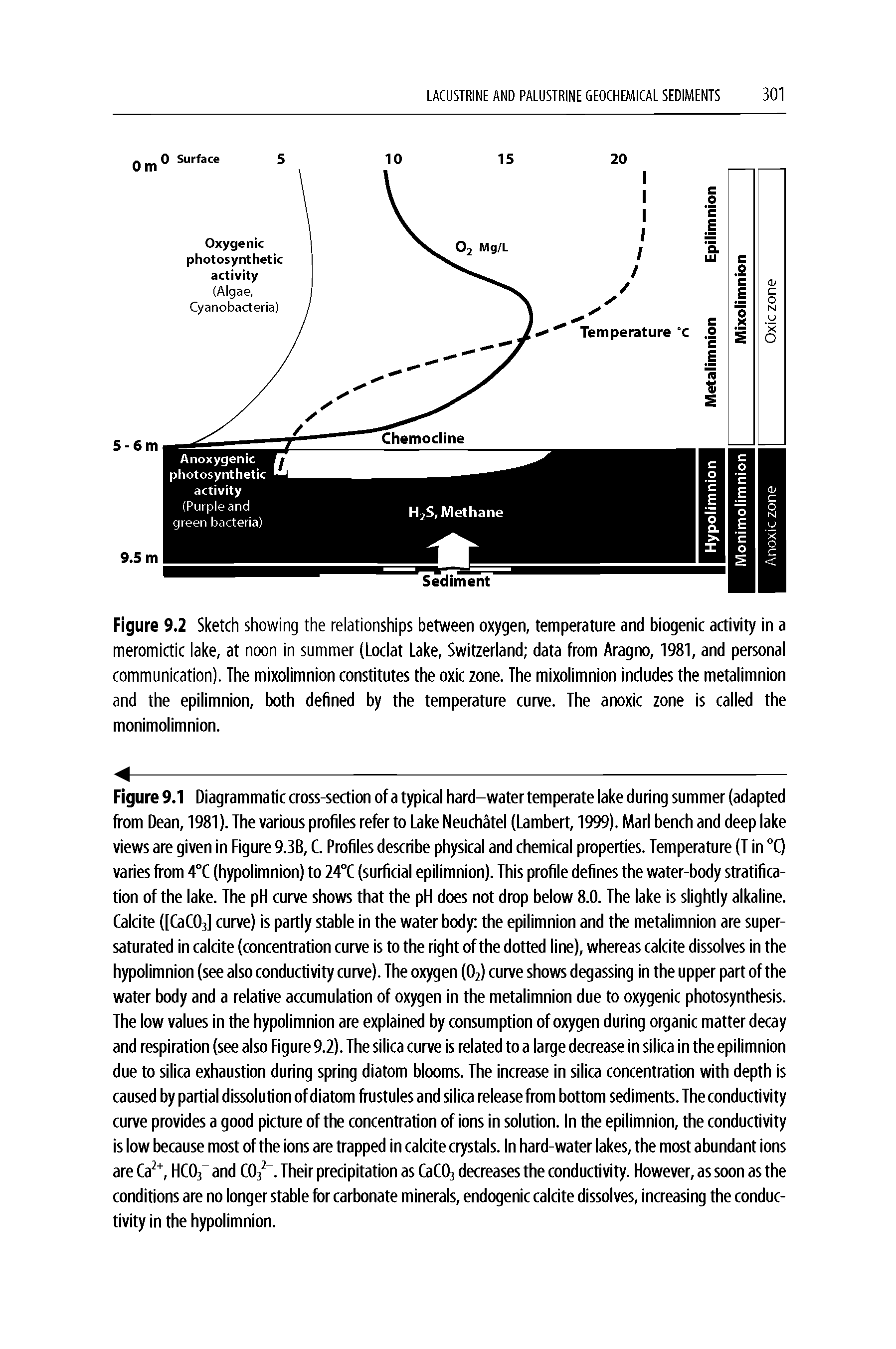 Figure 9.2 Sketch showing the relationships between oxygen, temperature and biogenic activity in a meromictic lake, at noon in summer (Loclat Lake, Switzerland data from Aragno, 1981, and personal communication). The mixolimnion constitutes the oxic zone. The mixolimnion includes the metalimnion and the epilimnion, both defined by the temperature curve. The anoxic zone is called the monimolimnion.