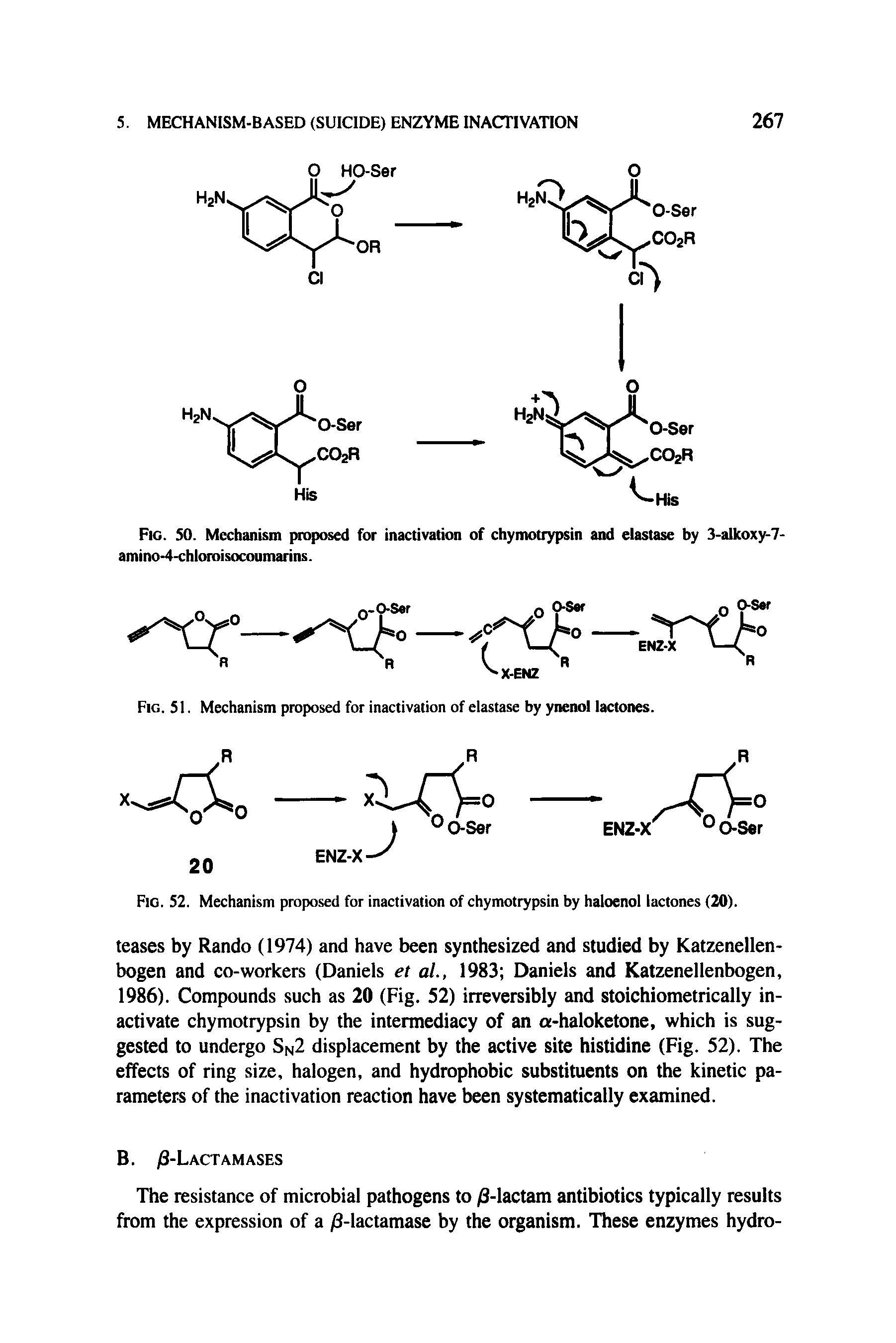 Fig. S2. Mechanism proposed for inactivation of chymotrypsin by haloenol lactones (20).