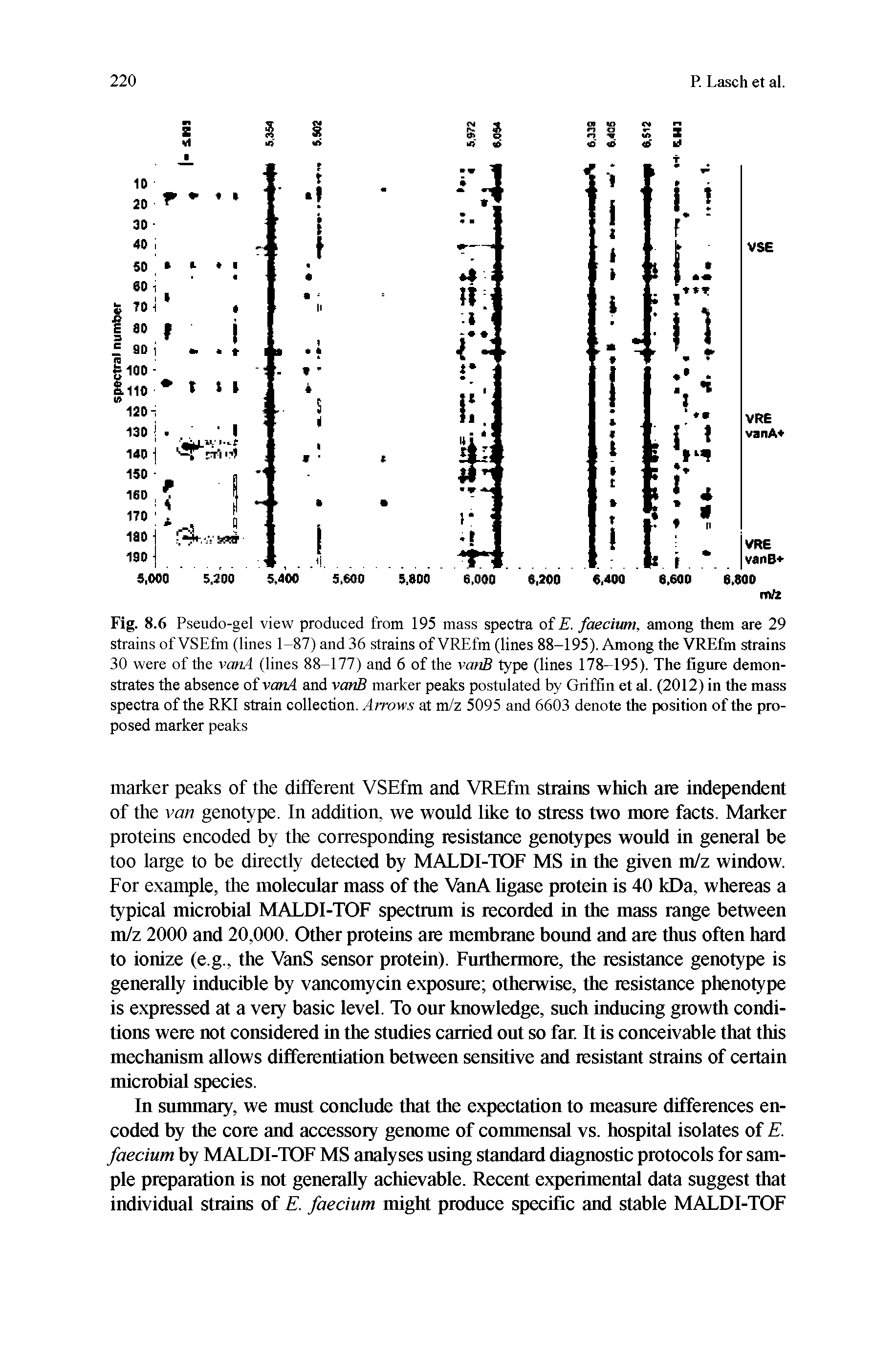 Fig. 8.6 Pseudo-gel view produced from 195 mass spectra of . faecium, among them are 29 strains of VSEfm (lines 1-87) and 36 strains of VREfm (lines 88-195). Among the VREfm strains 30 were of the vaw.4 (lines 88-177) and 6 of the vanB type (lines 178-195). The figure demonstrates the absence of vanA and variB marker peaks postulated by Griffin et al. (2012) in the mass spectra of the RKI strain collection. Arrows at m/z 5095 and 6603 denote the position of the proposed marker peaks...