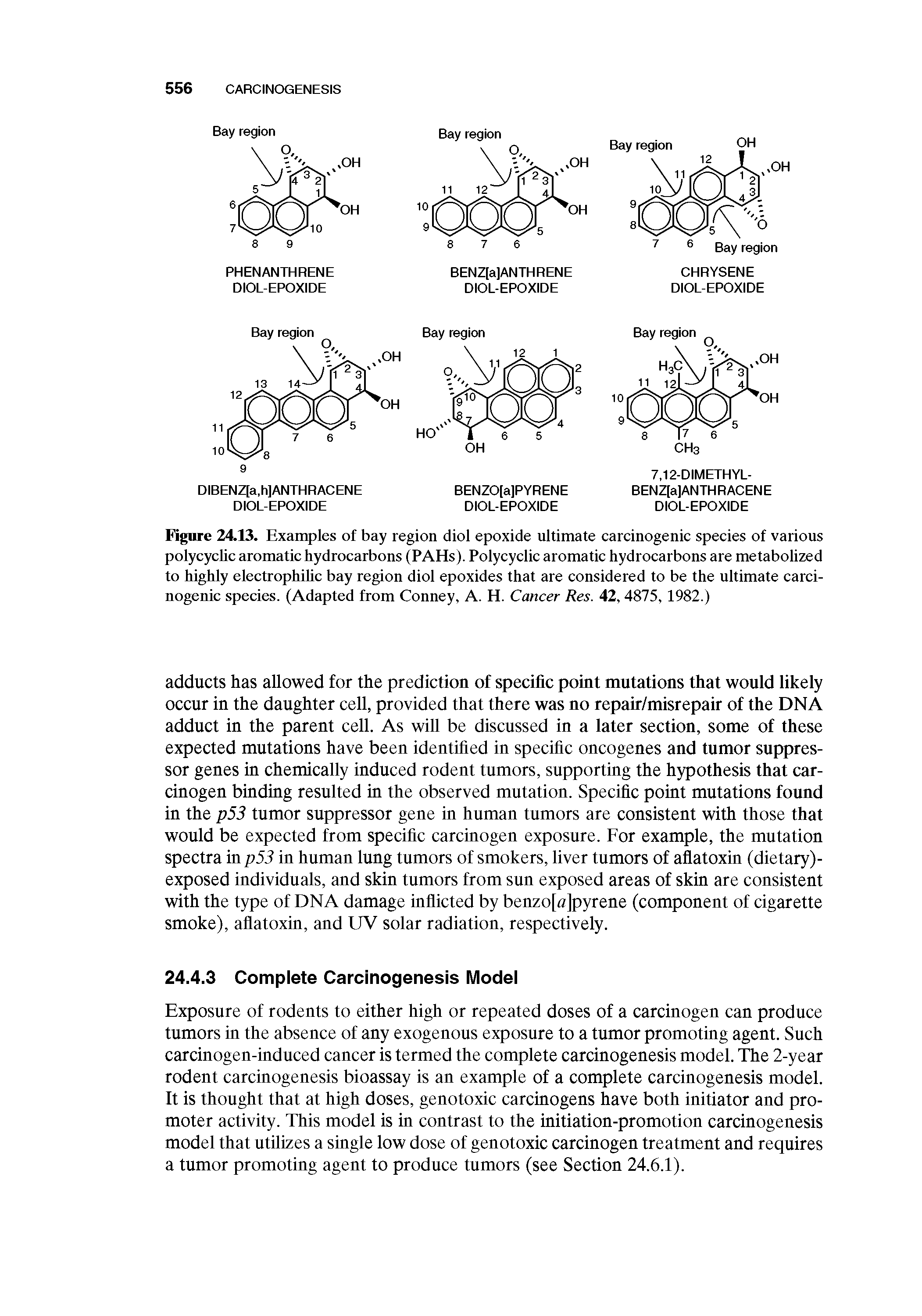 Figure 24.13. Examples of bay region diol epoxide ultimate carcinogenic species of various polycyclic aromatic hydrocarbons (PAHs). Polycyclic aromatic hydrocarbons are metabolized to highly electrophihc bay region diol epoxides that are considered to be the ultimate carcinogenic species. (Adapted from Conney, A. H. Cancer Res. 42, 4875, 1982.)...