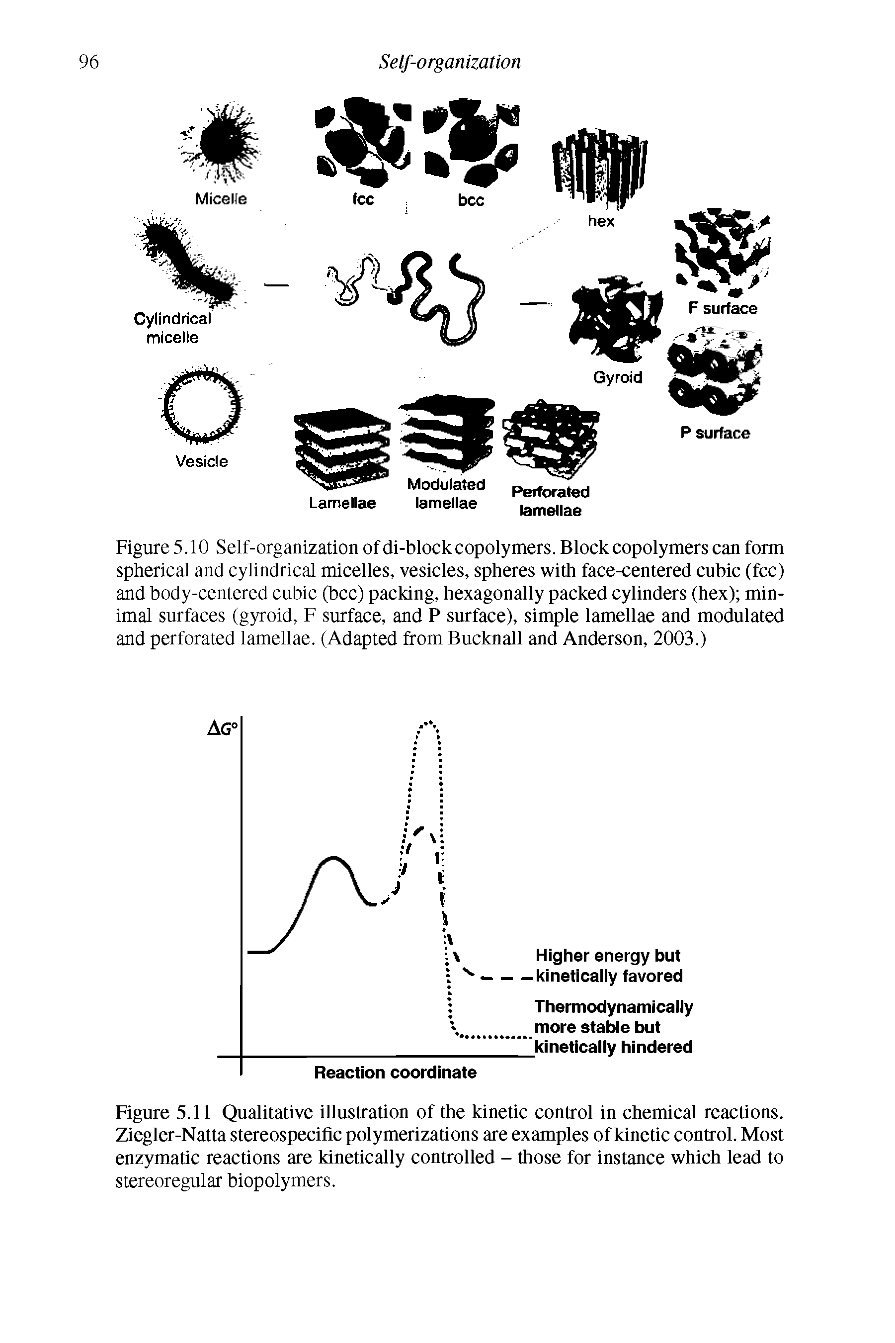 Figure 5.10 Self-organization of di-block copolymers. Block copolymers can form spherical and cylindrical micelles, vesicles, spheres with face-centered cubic (fee) and body-centered cubic (bcc) packing, hexagonally packed cylinders (hex) minimal surfaces (gyroid, F surface, and P surface), simple lamellae and modulated and perforated lamellae. (Adapted from Bucknall and Anderson, 2003.)...